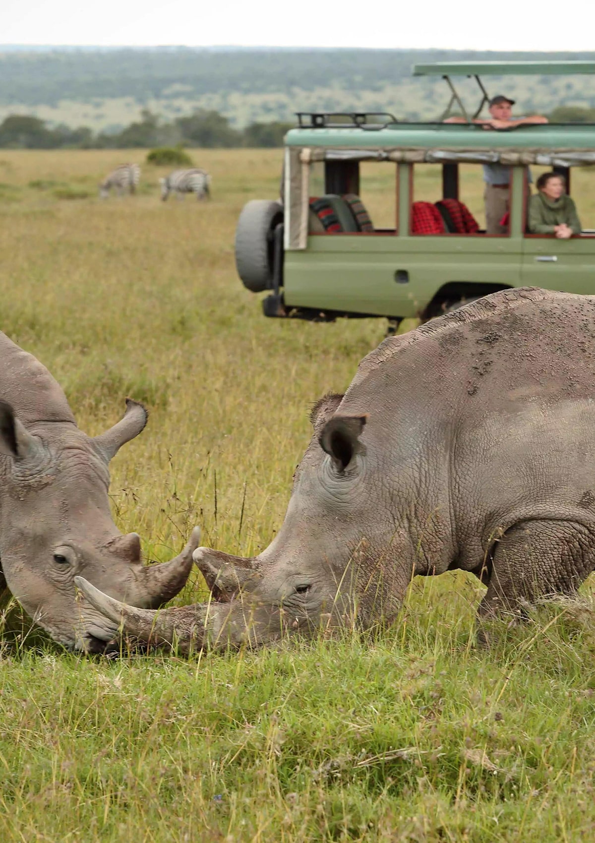 Rhino Conservation in Kenya
