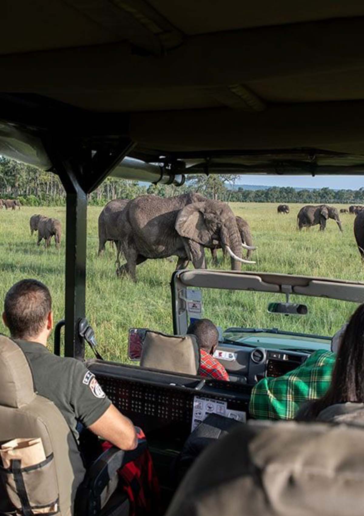 Luxury Safari in Kenya