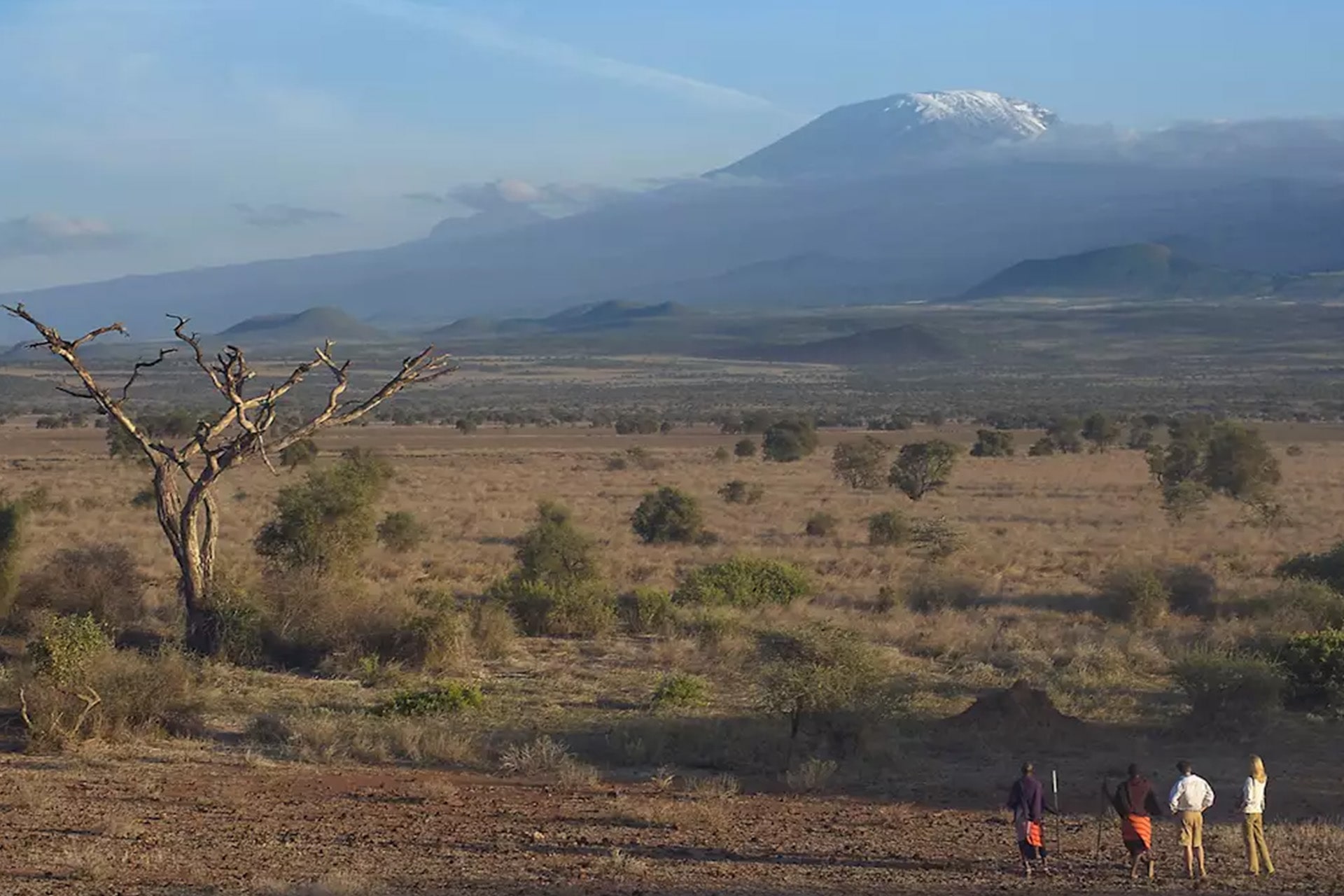 West Kilimanjaro