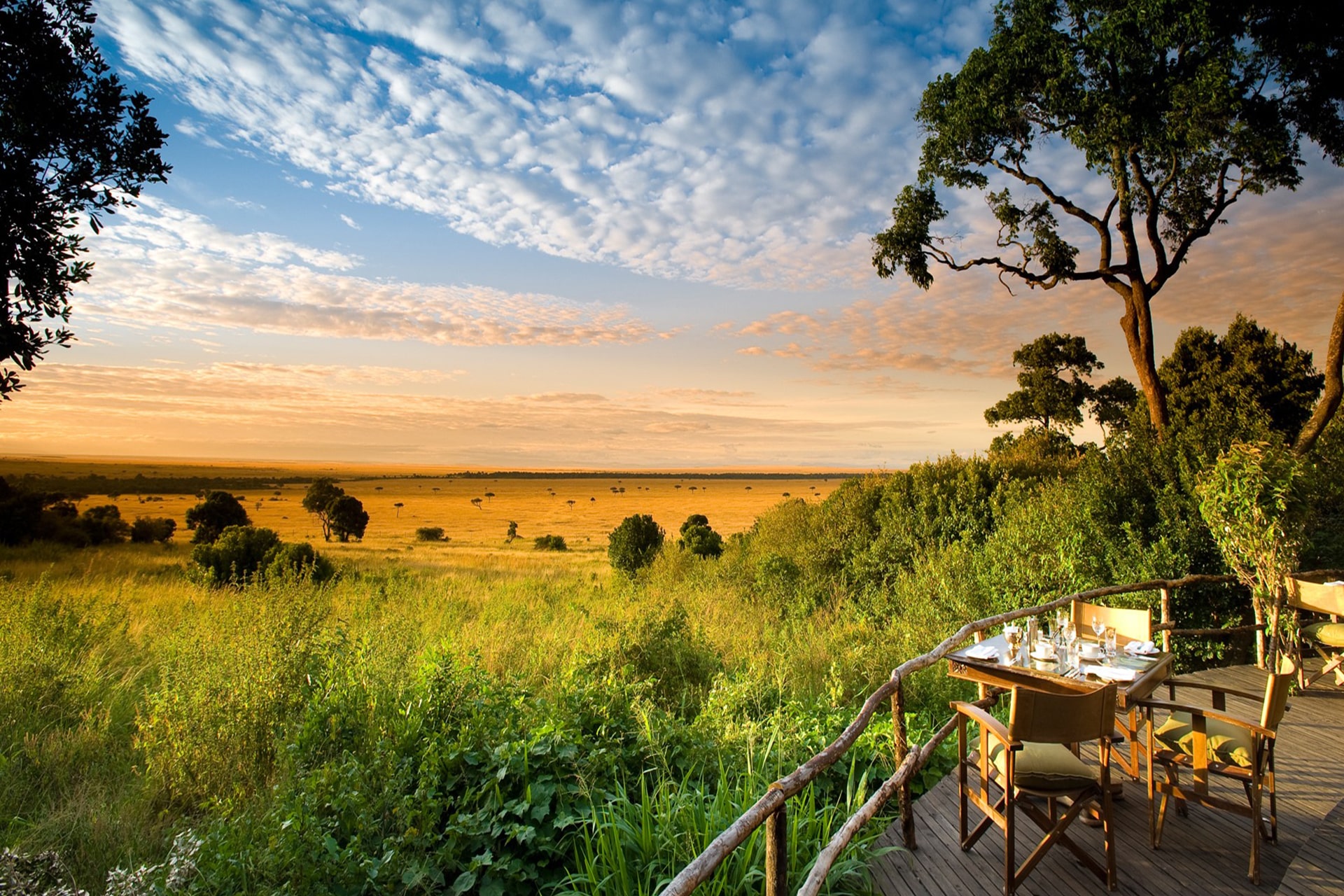 Luxury Safari in Kenya & Tanzania