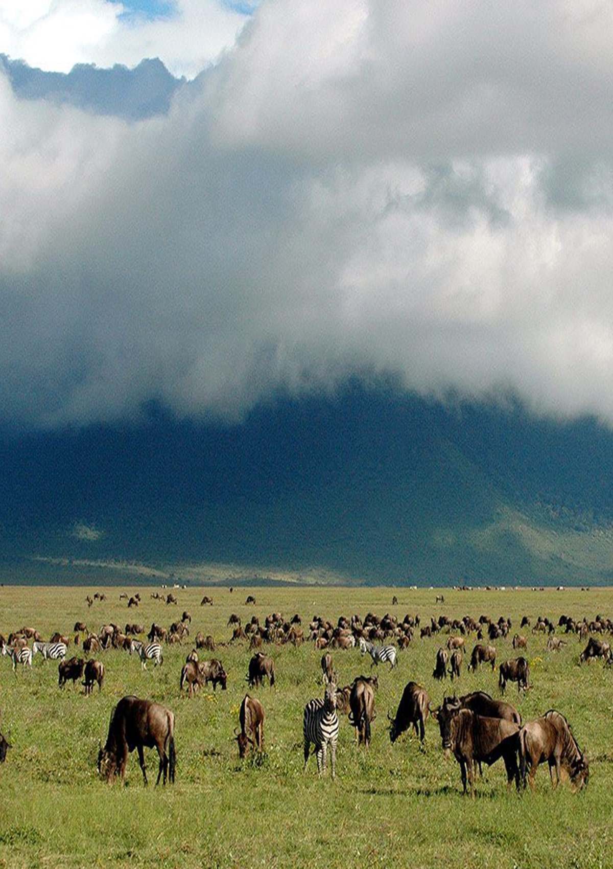 Ngorongoro Crater Floor