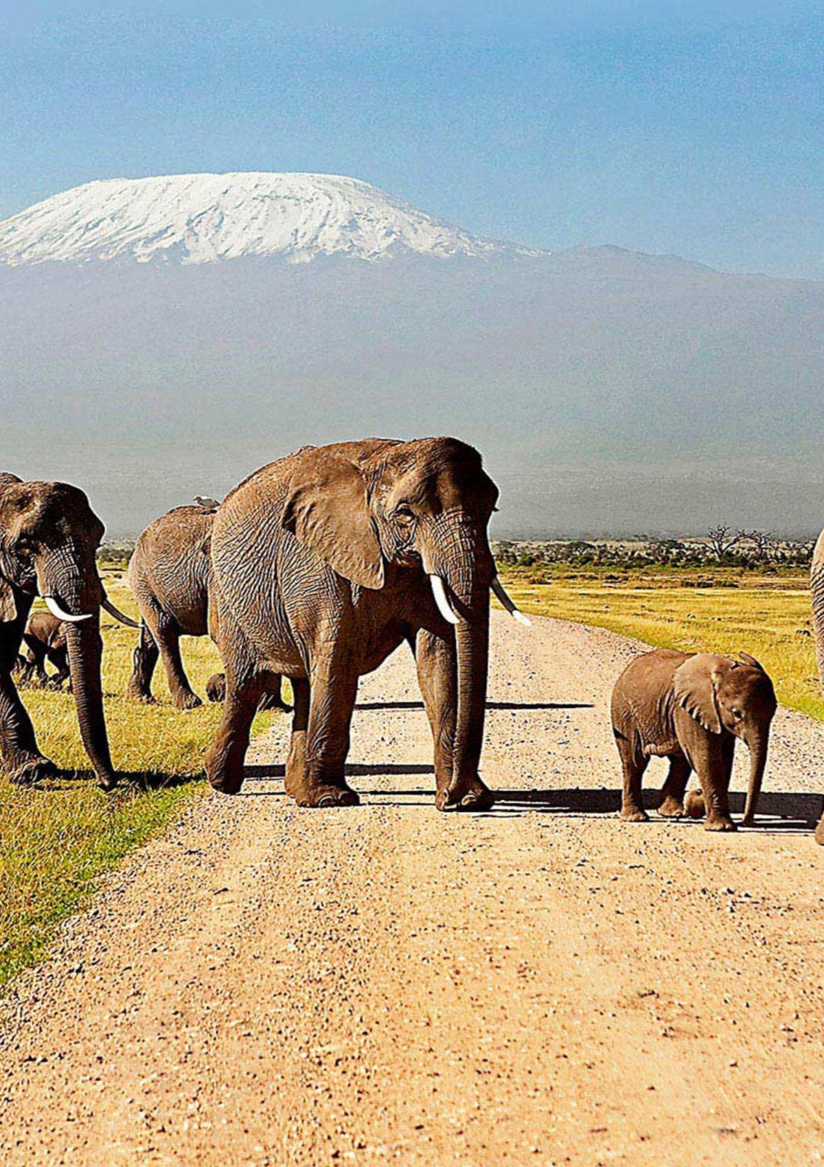 Amboseli National Park