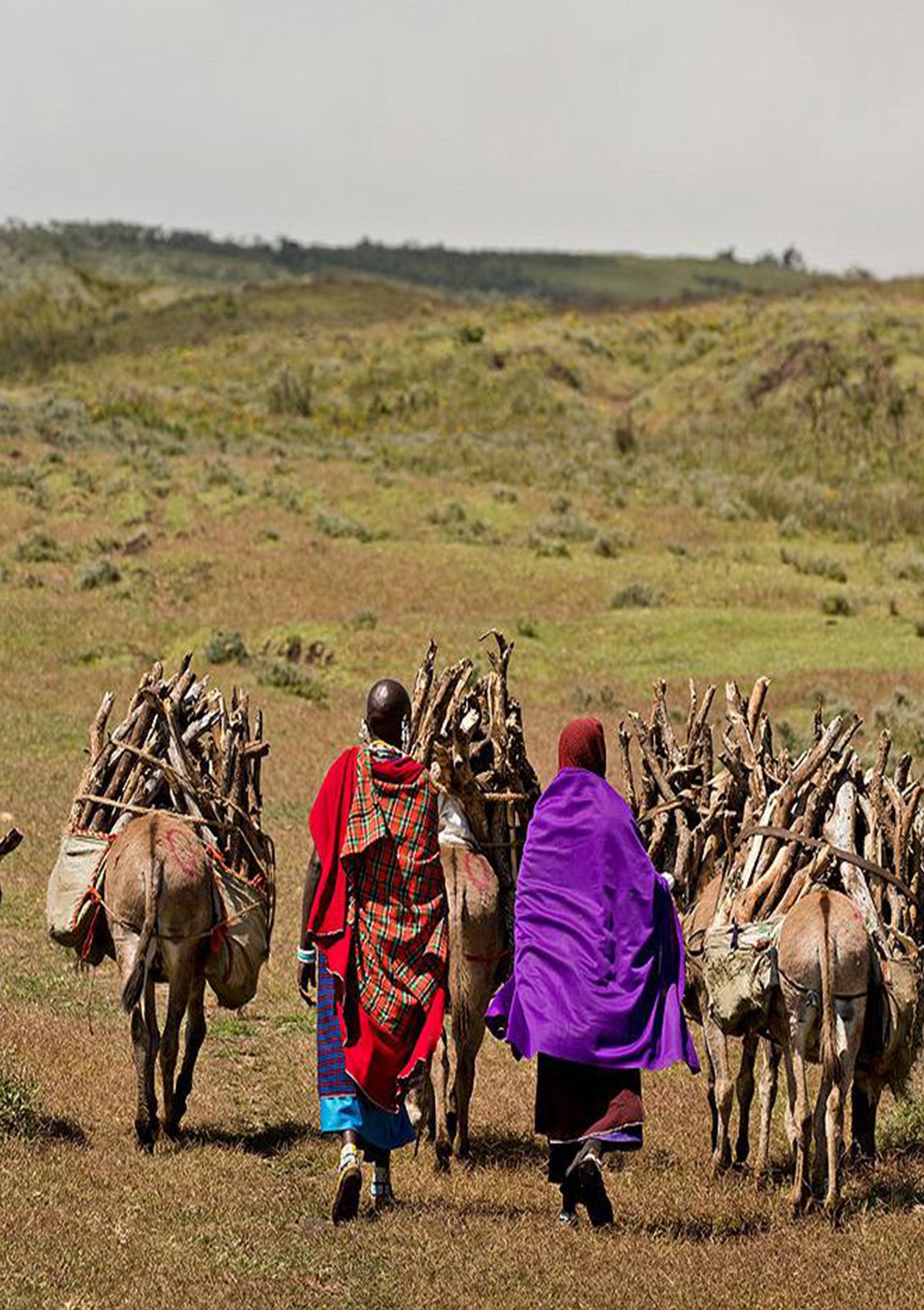 Maasai People & Culture