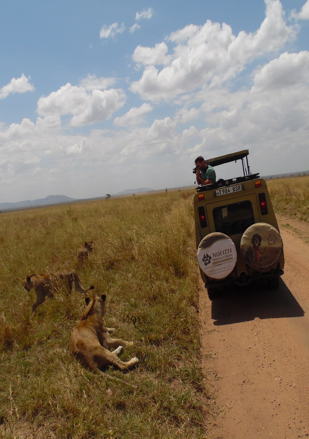 Safari in Serengeti