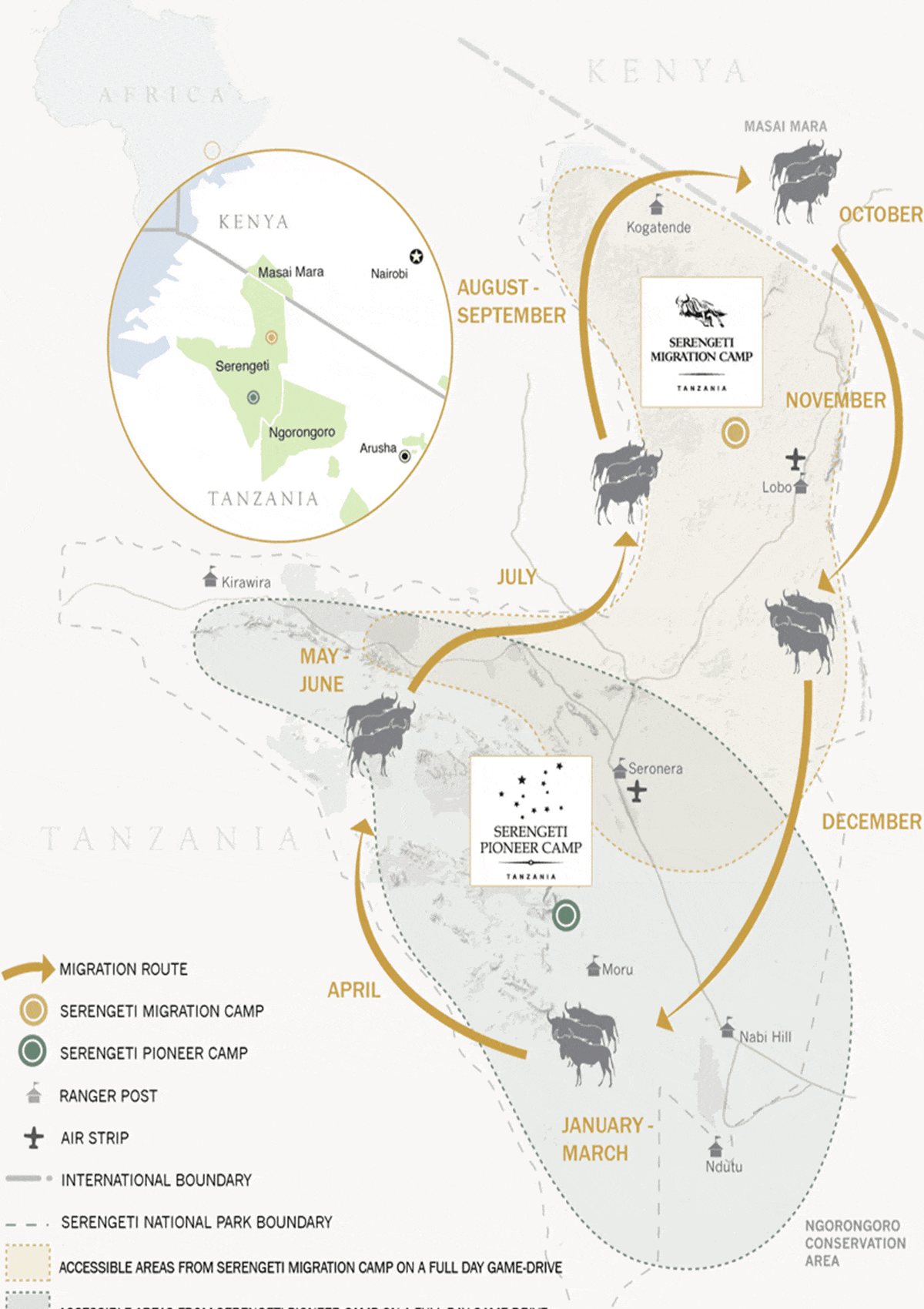 Wildebeest Migrations