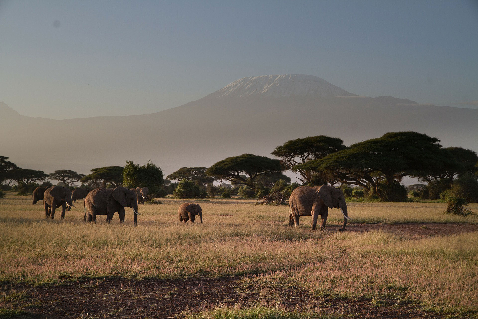 Night game in Kilimanjaro