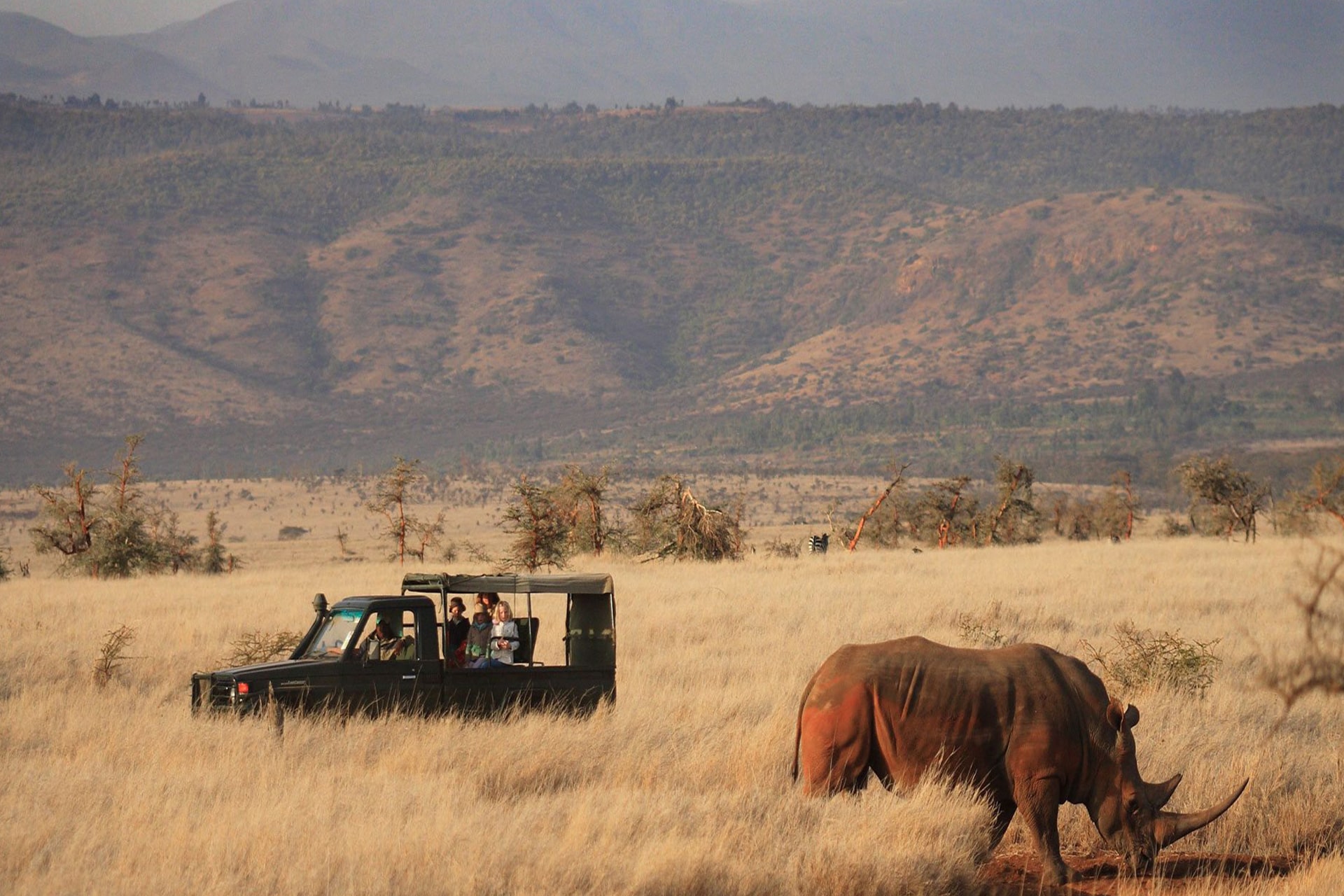 Lewa Wilderness safari