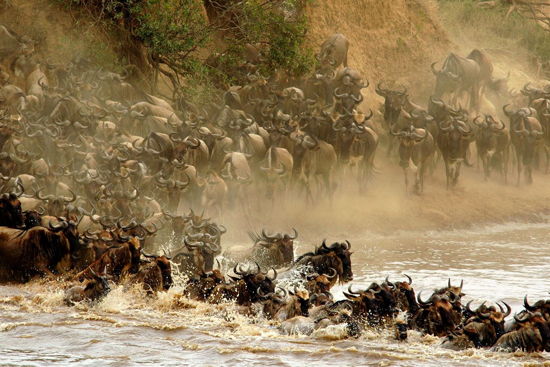 Mara River crossing