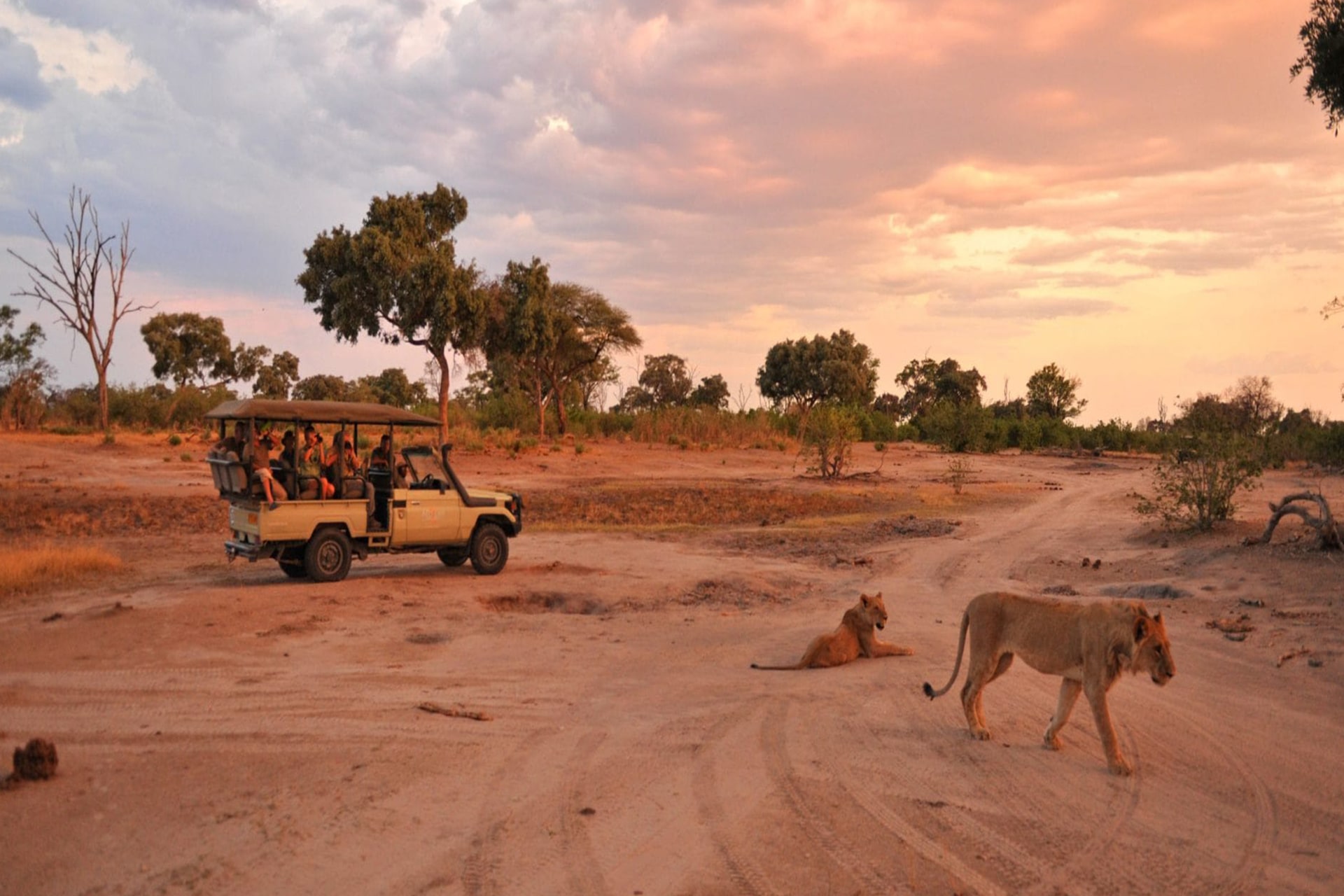 Luxury Uganda Safari