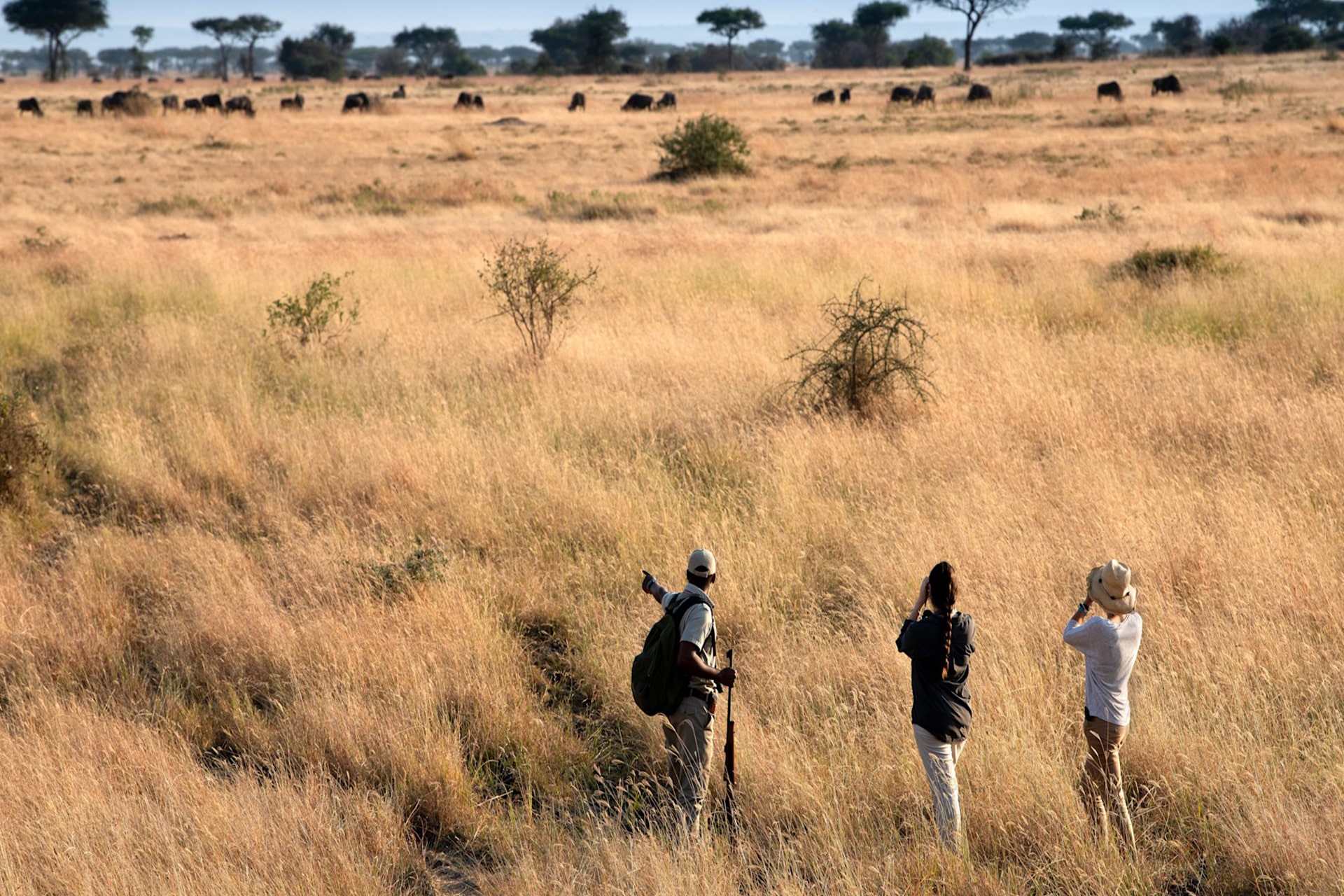 Walking Safari