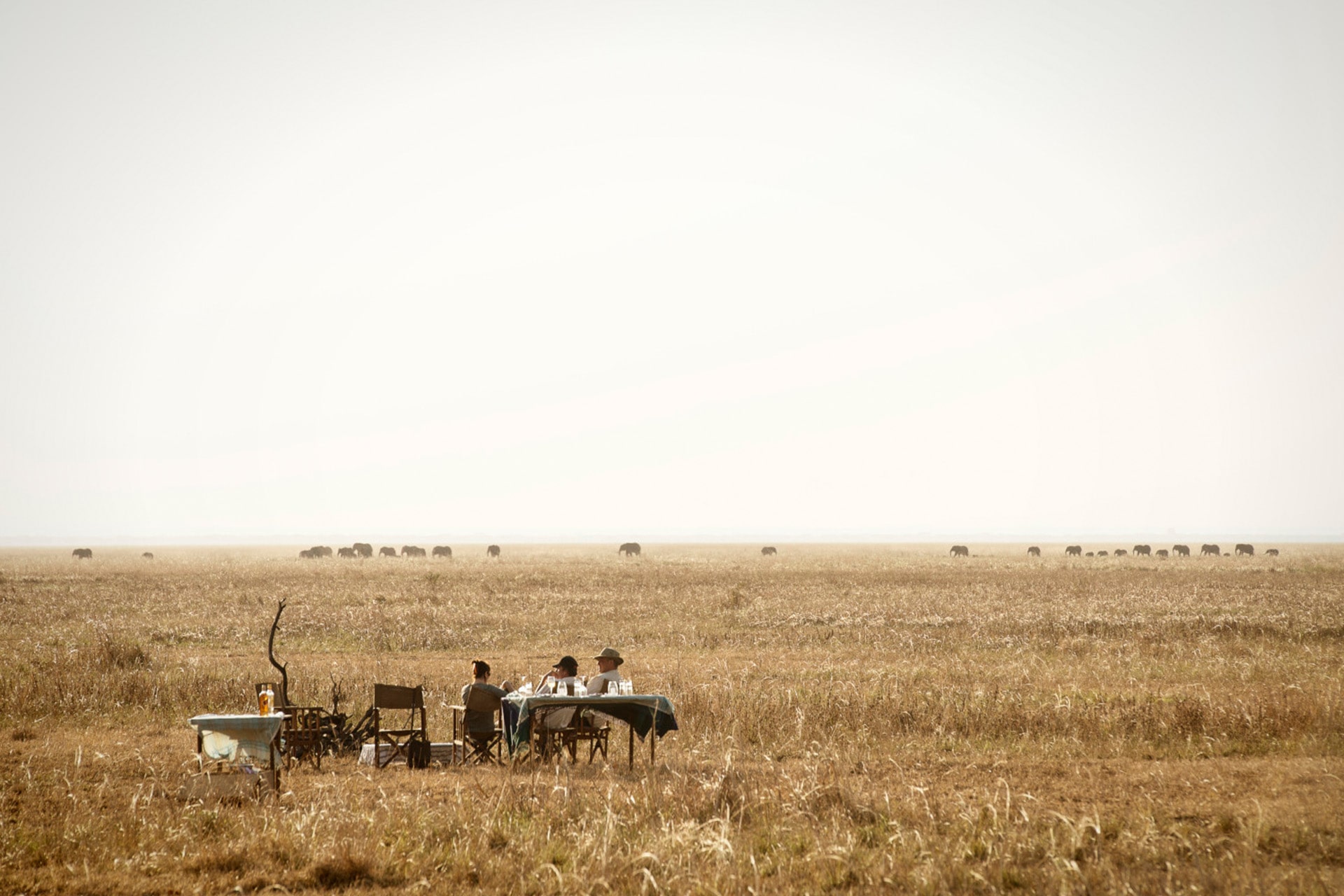 Katavi National Park