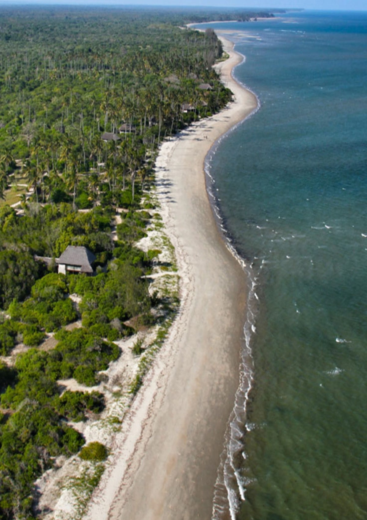 Saadani National Park