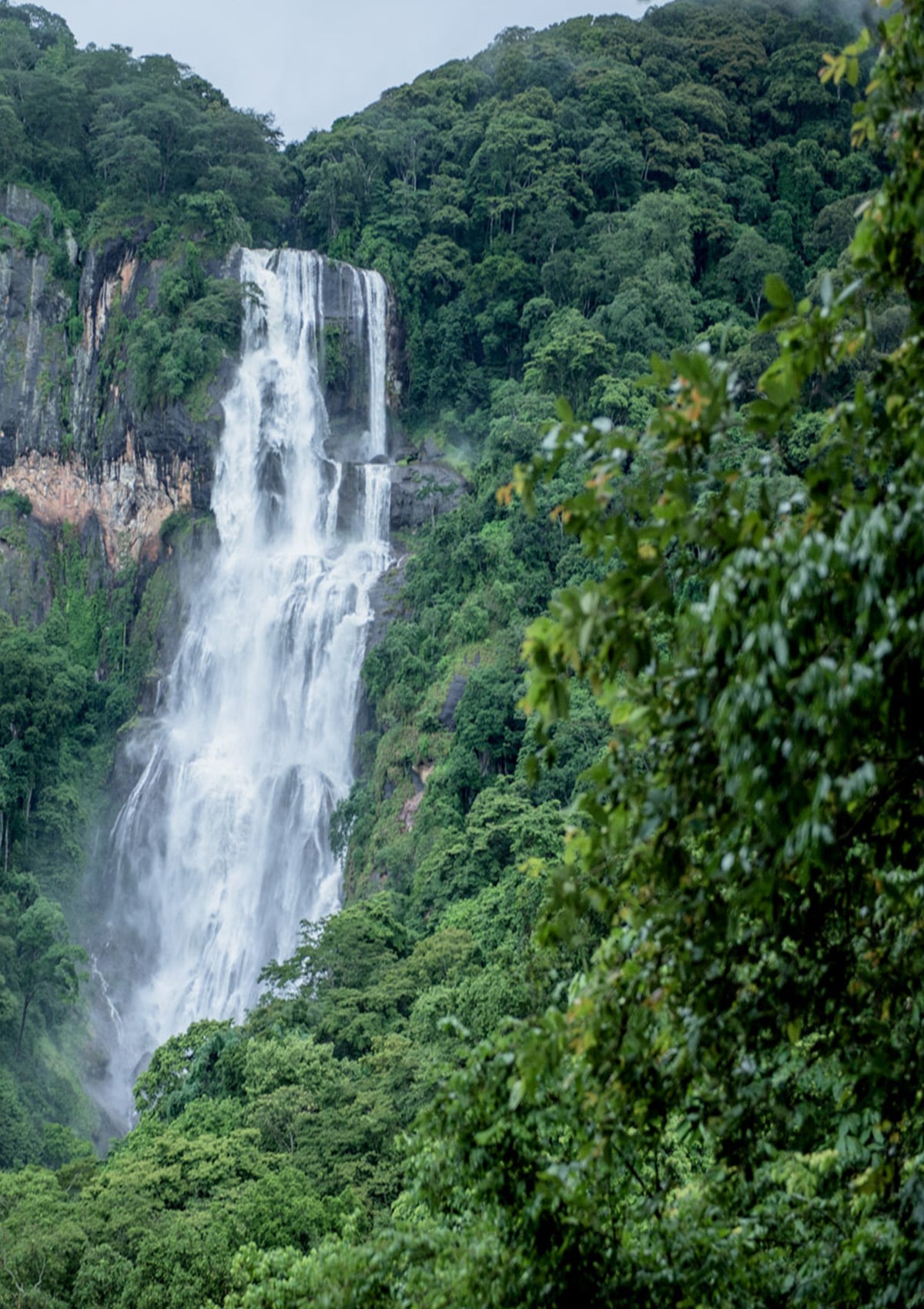 Udzungwa Mountains